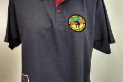 Camiseta Gola Polo