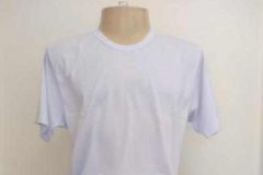 Camiseta manga curta