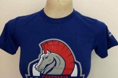 Camiseta Manga Curta