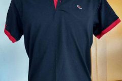Camiseta Gola Polo