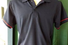 Camiseta Gola Polo